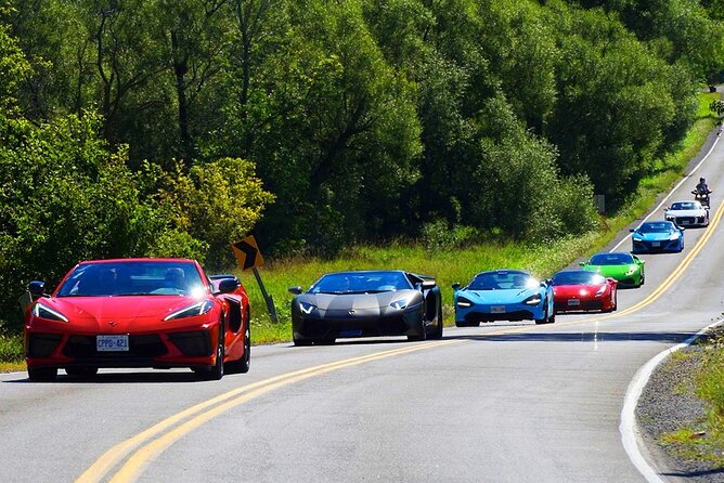 6 Hour Exotic Car Tour Driving 6 Super Cars + Lunch - Small-Group Experience
