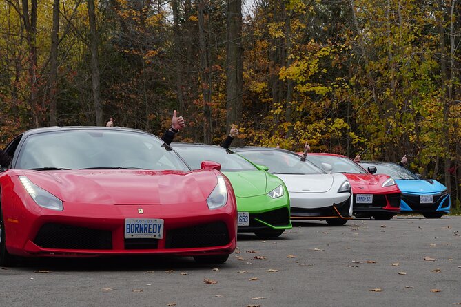 6 Hour Exotic Car Tour Driving 6 Super Cars + Lunch - Booking and Availability