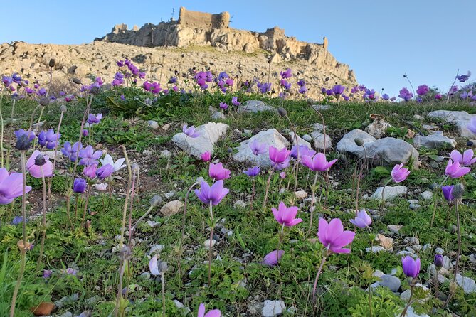 6-Hour Guided Tour in the Main Ancient Attractions of Rhodes - Accessibility and Fitness Requirements