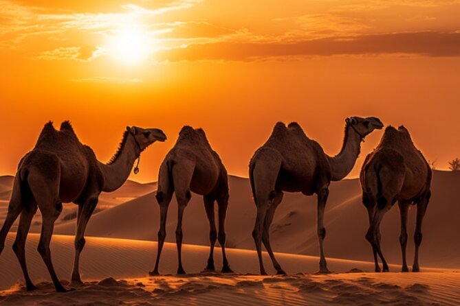 6-Hour Luxury Evening Dubai Desert Safari - BBQ Dinner Live Shows - Captivating Live Entertainment Shows