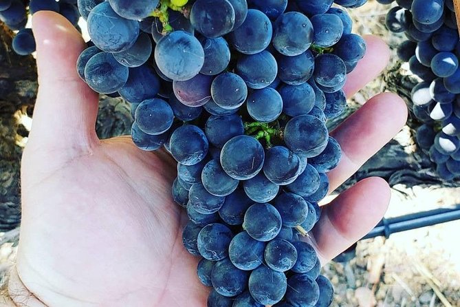 6-Hour Luxury Napa Wine Tasting Tour With Route Planning - Winery Selections