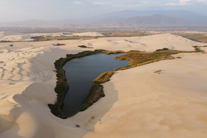 6-Hour Moron Lagoon Desert Guided Tour From Ica - Key Points