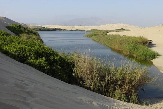 6-Hour Moron Lagoon Desert Guided Tour From Ica - Inclusions and Pickup Information