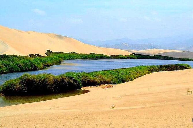 6-Hour Moron Lagoon Desert Guided Tour From Ica - Health and Safety Considerations