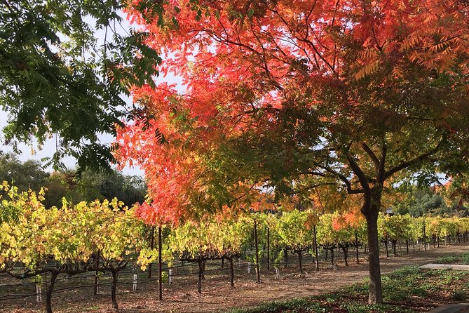 6 Hour Napa or Sonoma Valley Wine Tour by Private SUV - Included in the Tour