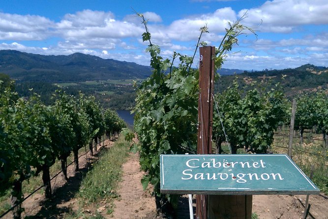 6 Hour Napa or Sonoma Wine Tour in Private Limousine - Pricing and Cancellation Policy