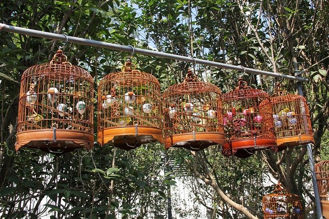 6-Hour Private Beijing Tour: Flower and Fish Market, Panjiayuan Antique Market and 798 Art Zone - Flower and Fish Market Experience