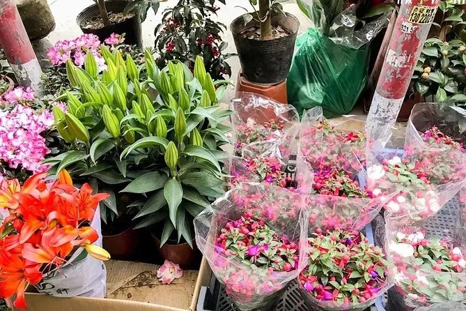 6-Hour Private Beijing Tour: Flower and Fish Market, Panjiayuan Antique Market and 798 Art Zone - Dietary and Accessibility Considerations