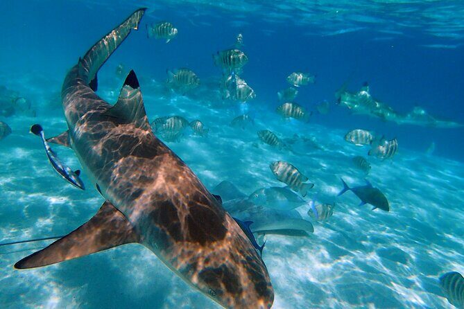 6 Hour Private Boat Activity with Snorkeling & Lunch - How the Itinerary Unfolds