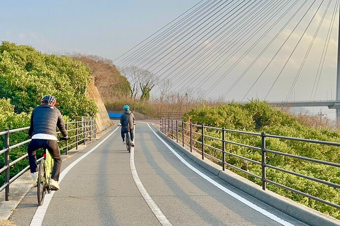 6 Hour Private E Bike Tour on Omishima - Dietary Accommodations