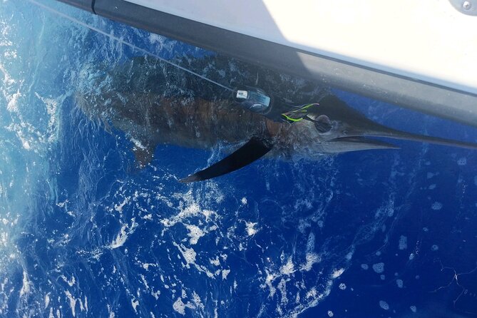 6 Hour Private Fishing Charter Kona, Hawaii - Meeting and Pickup Information