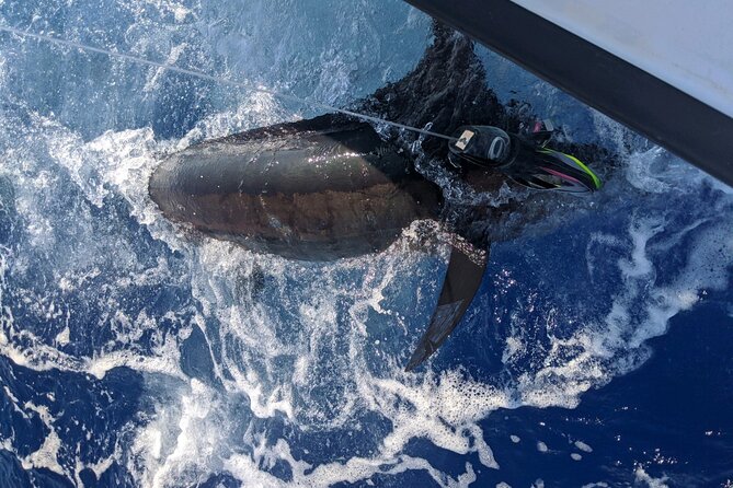 6 Hour Private Fishing Charter Kona, Hawaii - Participant Requirements and Restrictions
