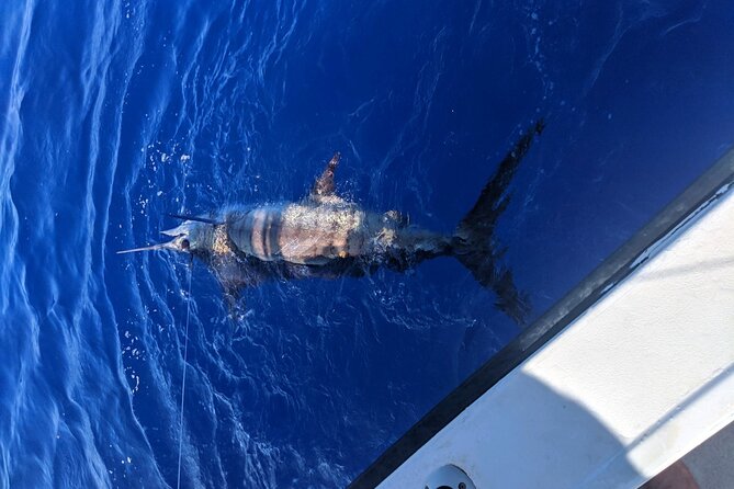 6 Hour Private Fishing Charter Kona, Hawaii - Fishing Experience Insights