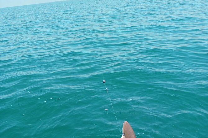 6 Hour Private Fishing Tour in Sarasota With Master Captain Bill - Booking and Cancellation Policies