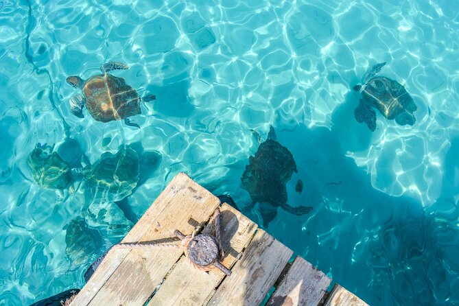 6 Hour Private Guided Tour Beyond the Beaches of Curacao - Memorable Experiences