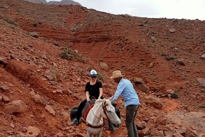 6-Hour Private Hike to Discover Berber Villages - Inclusions