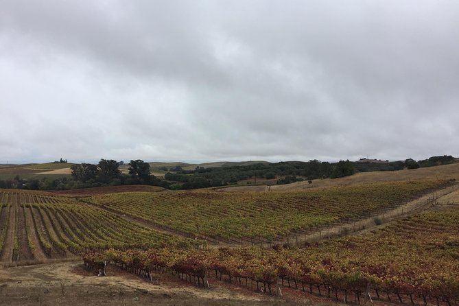 6-Hour Private Limousine Wine Country Tour of Napa or Sonoma - Limousine Luxury Experience