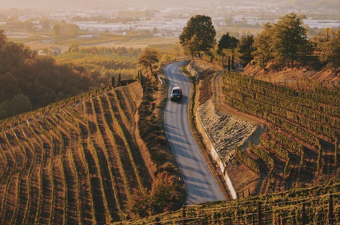 6-hour Private Luxury SUV Wine Tour in Napa Or Sonoma Valley - Pricing & Value: What It Means for You