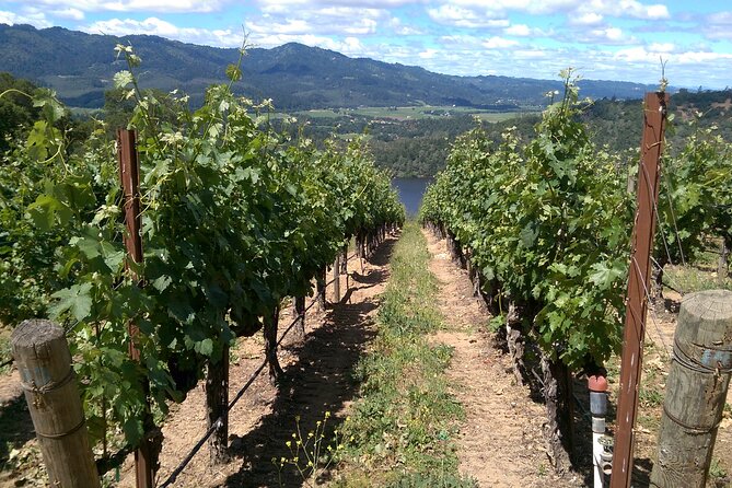 6-Hour Private Napa Limousine Wine Tour (Style & Wine) - Pickup Locations and Travel Time Charges