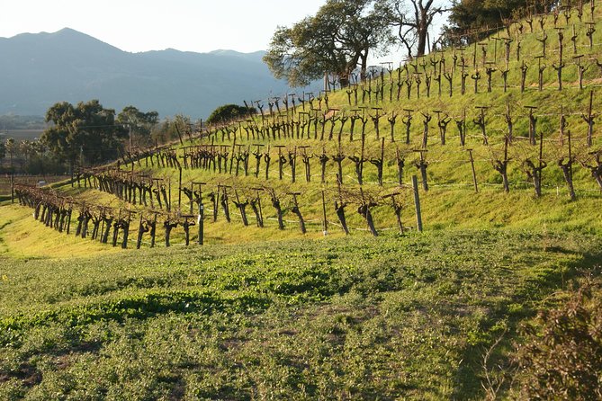 6-Hour Private Napa Wine Tour in a Lincoln MKT Crossover (up to 4 Passengers) - Considerations for Passengers