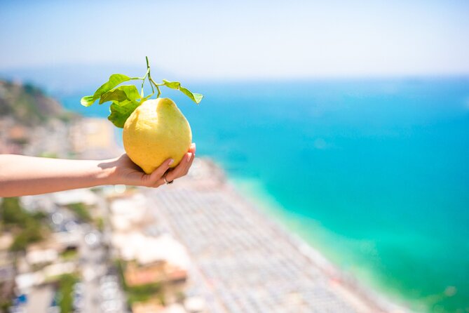 6-Hour Private Tour, From Salerno to Pompeii, Ravello and Amalfi - Customer Feedback and Concerns