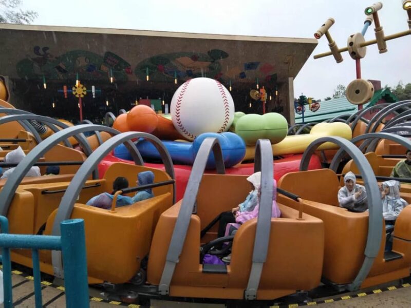 6 Hour Private Tour in Disneyland - Experience Highlights