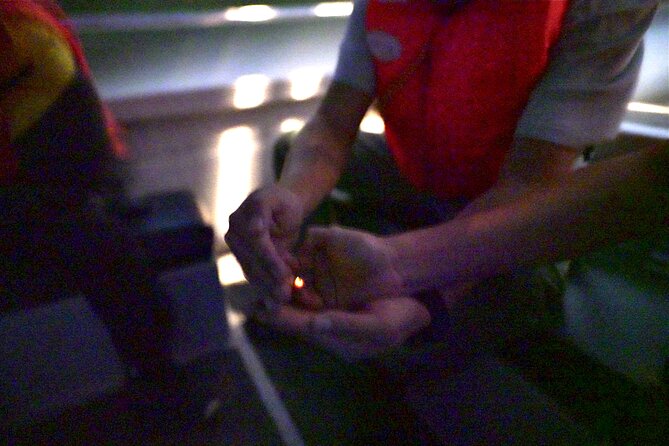 6-Hour Private Tour to Kuala Selangor Fireflies and Blue Tear - Inclusions and Exclusions