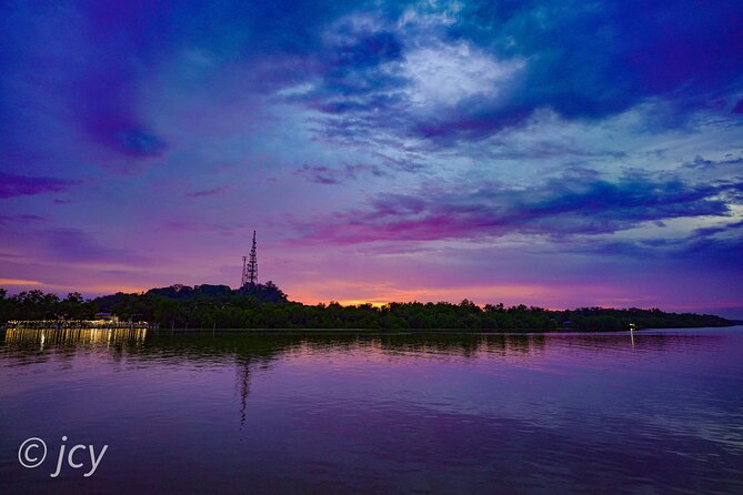 6-Hour Private Tour to Kuala Selangor Fireflies and Blue Tear - Tour Duration and Timing