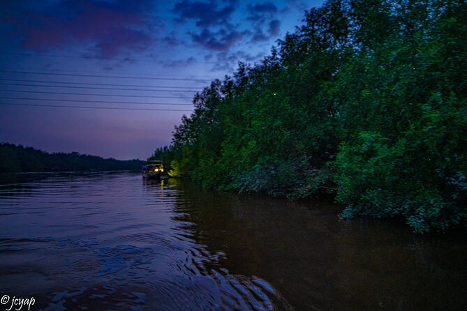 6-Hour Private Tour to Kuala Selangor Fireflies and Blue Tear - Plankton Visibility and Expectations