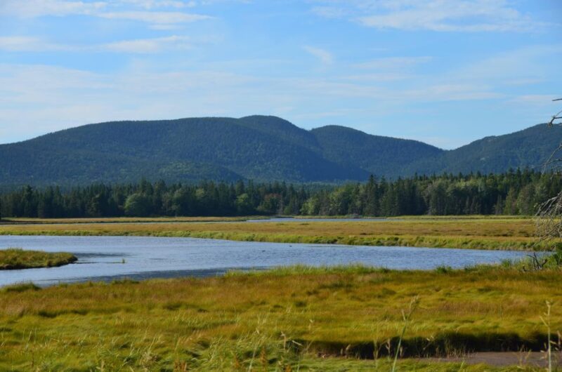 6 Hour Private Tour: Ultimate Acadia Tour With Lobster Lunch - Scenic Features