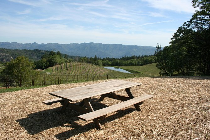 6-Hour Private Wine Country Tour of Napa in Crossover SUV (Up to 6 People) - Reviews