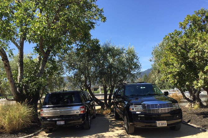 6-Hour Private Wine Country Tour of Napa Valley (Up to 6 People) in Large SUV - Considerations for Participants