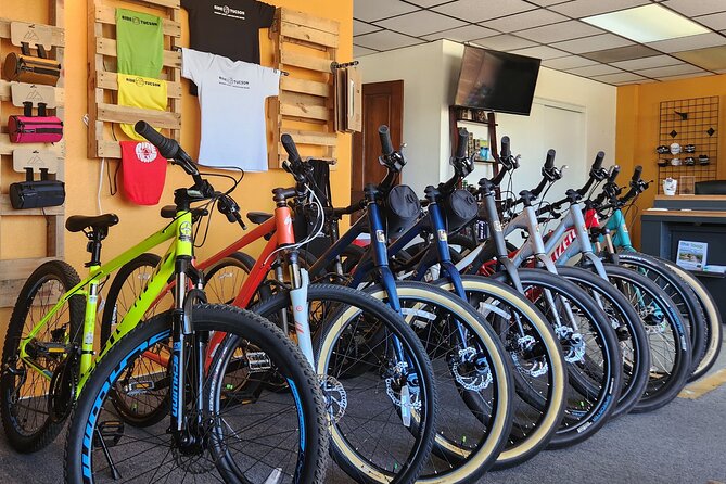 6-Hour Regular Bike Rental From Tucson - Reviews and Ratings
