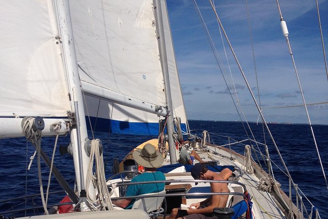 6 Hour Sailing Tour of Vineyard Haven Harbor and Sound - Tour Overview