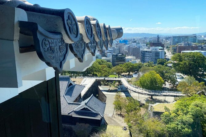 6 Hour Select Tour: Kumamoto Castle, Castle Town, or Suizenji Park - Health and Accessibility