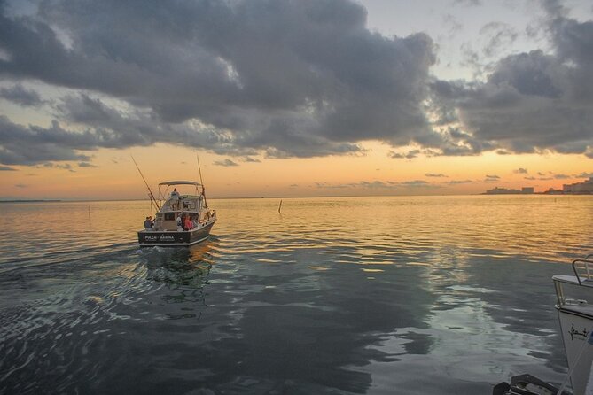 6-Hour Shared Fishing Tour - Fishing Opportunities