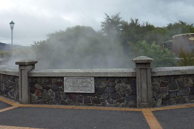 6 Hour Small-Group Rotorua Naturally Shore Excursion From Tauranga - Tour Highlights and Experiences