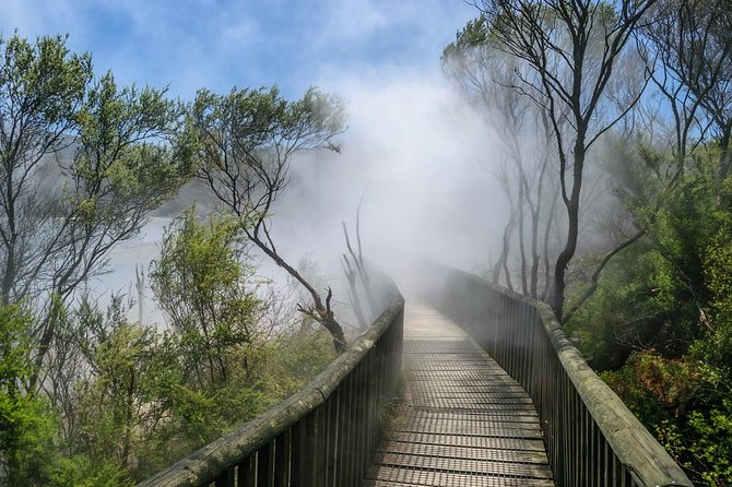 6 Hour Small-Group Rotorua Naturally Shore Excursion From Tauranga - Additional Information and Recommendations