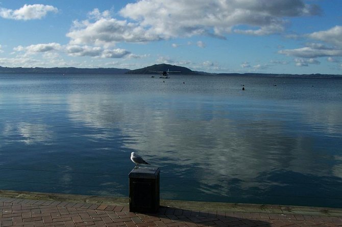 6 Hour Small-Group Rotorua Naturally Shore Excursion From Tauranga - Personalized and Engaging Guided Tours