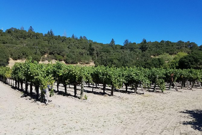 6 Hour Sonoma Pinot Noir and or Zinfandel Wine Tasting Tour - Overview of the Tour