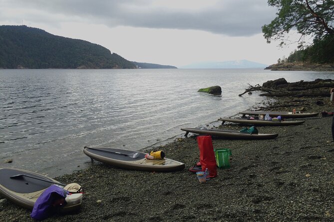 6 Hour SUP Finlayson Arm Fjord - Physical Fitness Level Required