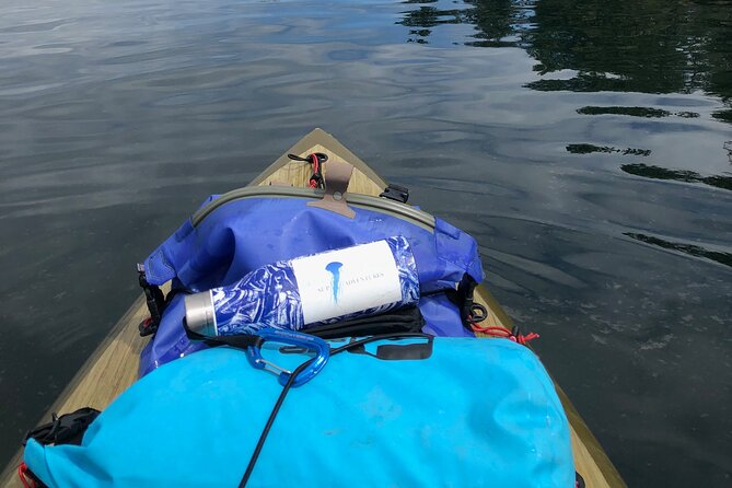 6 Hour SUP Finlayson Arm Fjord - Accessibility and Medical Considerations