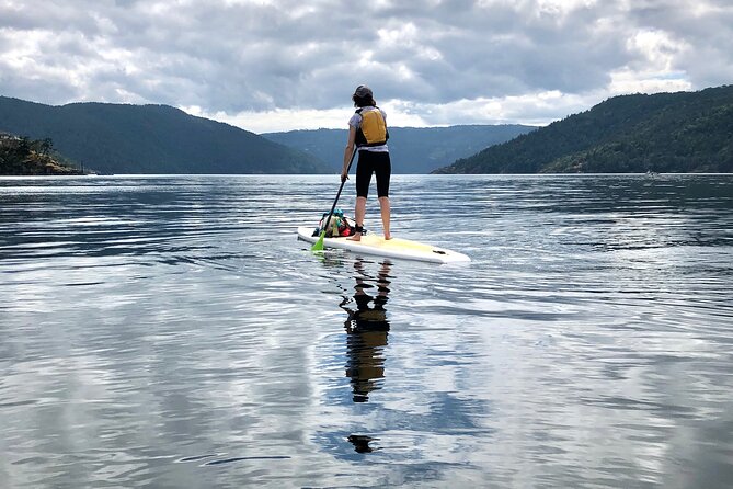 6 Hour SUP Finlayson Arm Fjord - Group Size and Confirmation