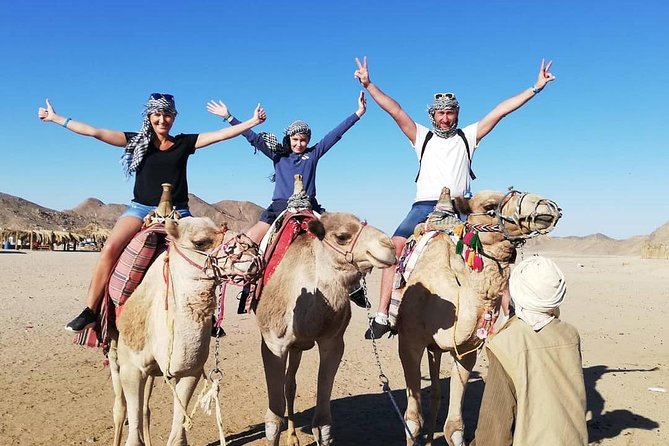 6 Hour Super Safari (Atv Quad, Buggie , Jeep , Bedouin Village , Party Show ) - Customer Reviews and Feedback