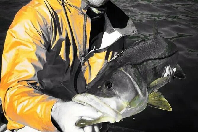 6 Hour Tarpon Springs, Florida Fishing Charter - Exploring the Details of the 6-Hour Tarpon Springs Fishing Charter