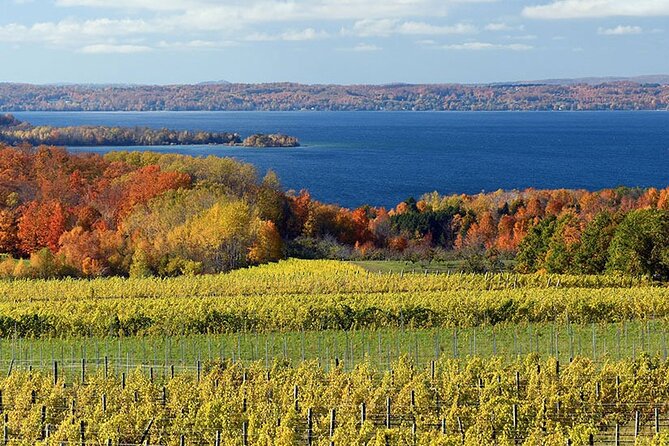 6 Hour Tour in Lake Leelanau - Meeting and Pickup