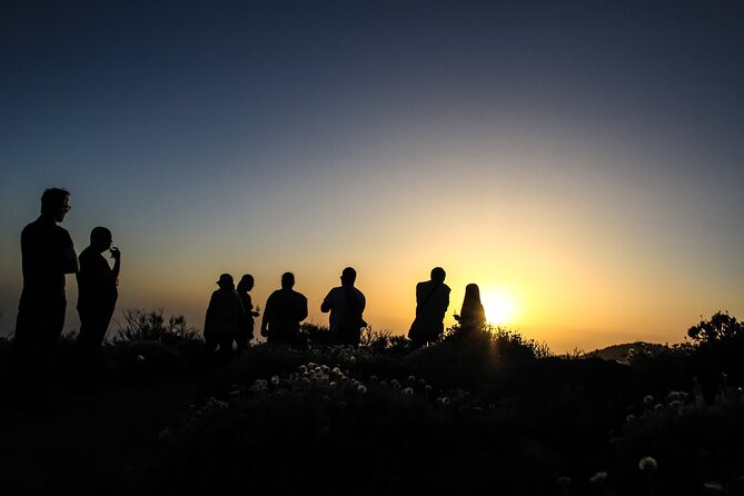 6-Hour Tour With Observation of the Stars 1242 With Lunch - Tour Overview and Ratings