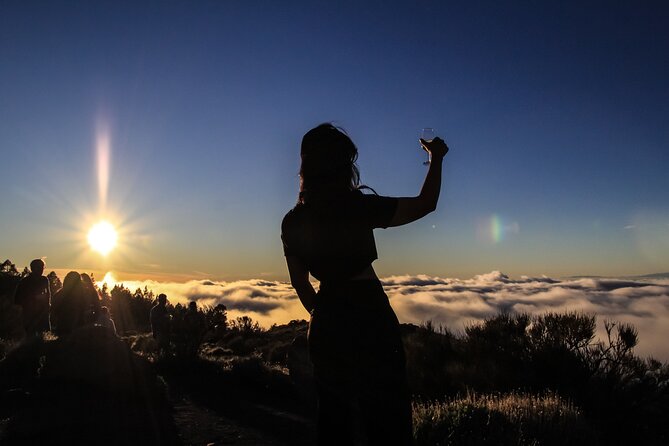 6-Hour Tour With Observation of the Stars 1242 With Lunch - Additional Considerations