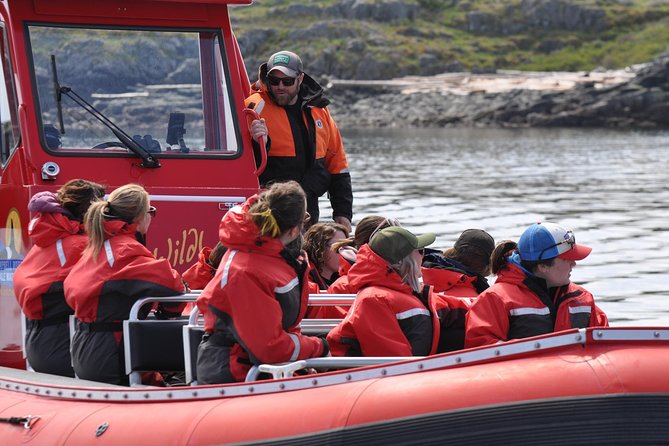 6 Hour Zodiac Whale Watching Tour - Tour Schedule