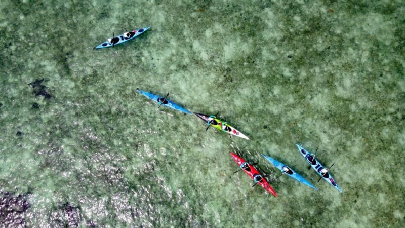 6 Hours Fun Day Kayaking - Experience Highlights